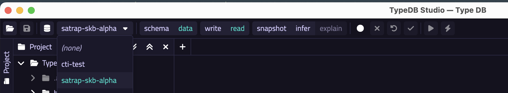 TypeDB Studio database selection